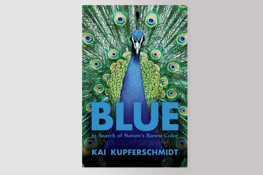 Blue: In Search of Nature's Rarest Color 