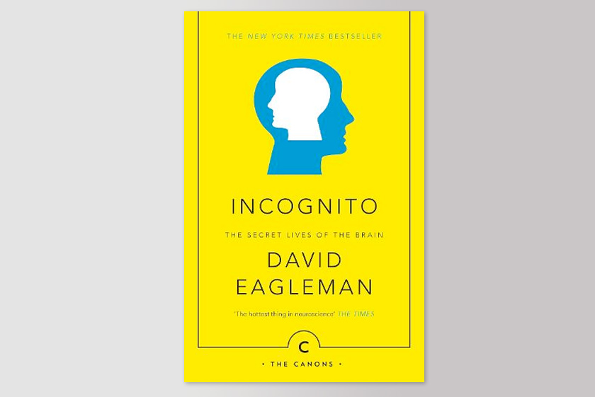 Incognito: The Secret Lives of the Brain