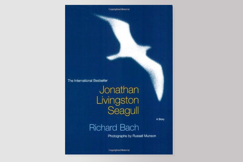 Jonathan Livingston Seagull: A Story