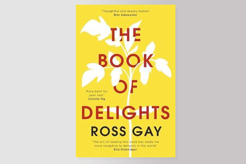 The Book of Delights: Essays on the small joys we overlook in our busy lives