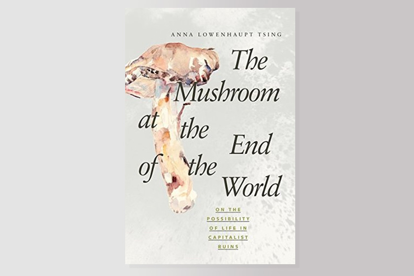 The Mushroom at the End of the World: On the Possibility of Life in Capitalist Ruins