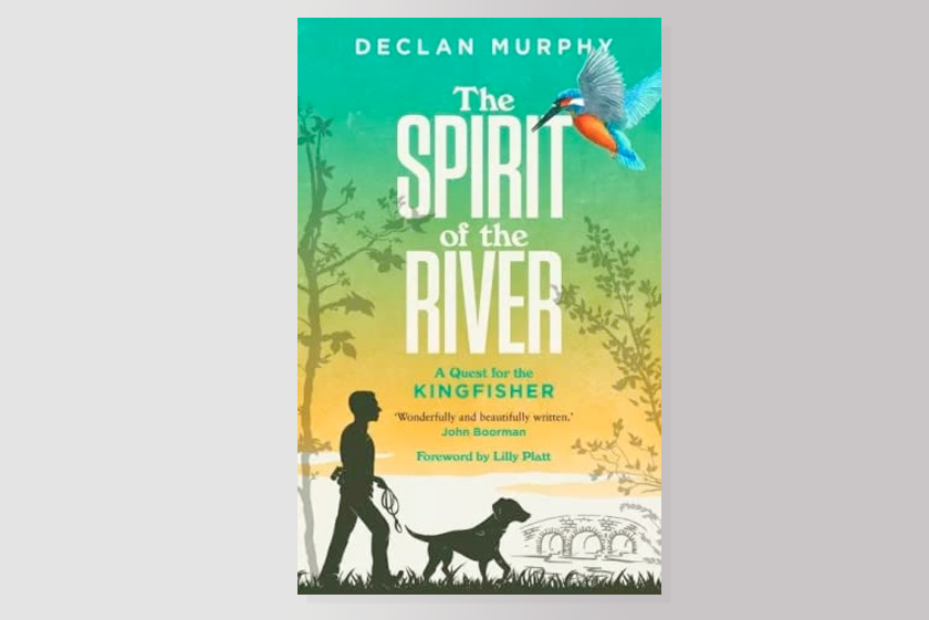 The Spirit of the River: A Quest for the Kingfisher 
