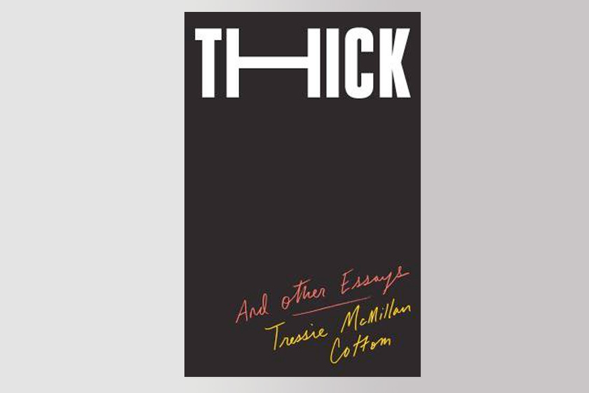  Thick: And Other Essays