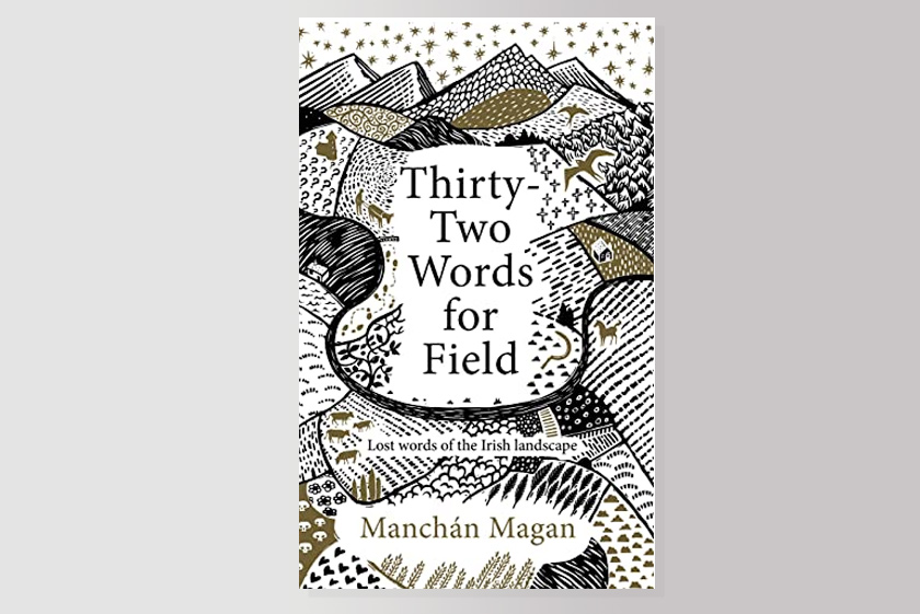 Thirty-Two Words for Field : Lost Words of the Irish Landscape